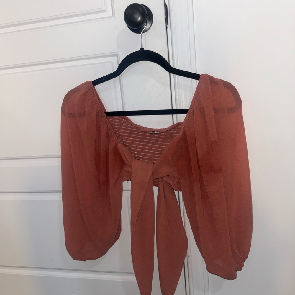 Envy Rust Chiffon Crop Top